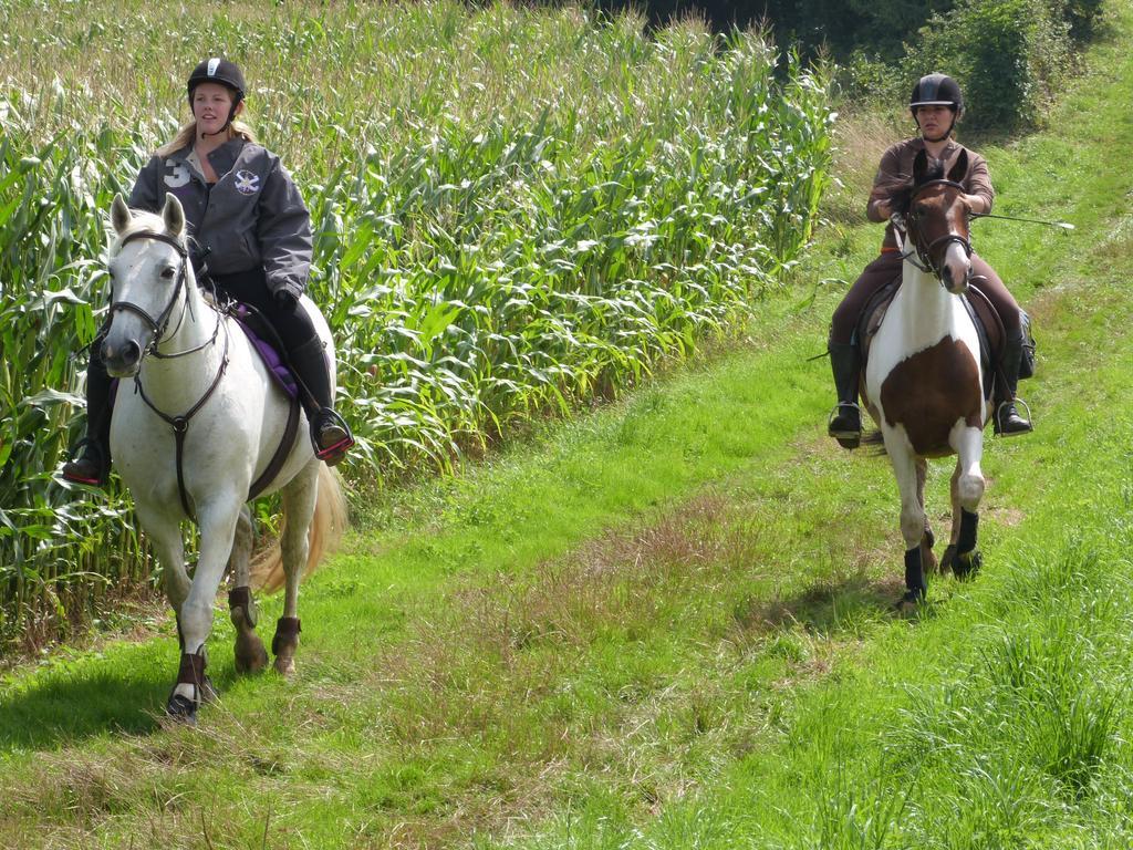 Gite Et Relais Equestre De Marie Tours-en-Vimeu المظهر الخارجي الصورة