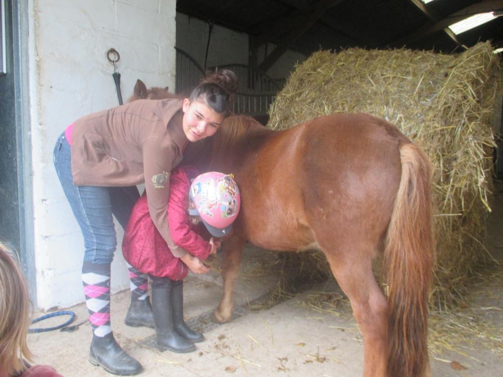 Gite Et Relais Equestre De Marie Tours-en-Vimeu المظهر الخارجي الصورة