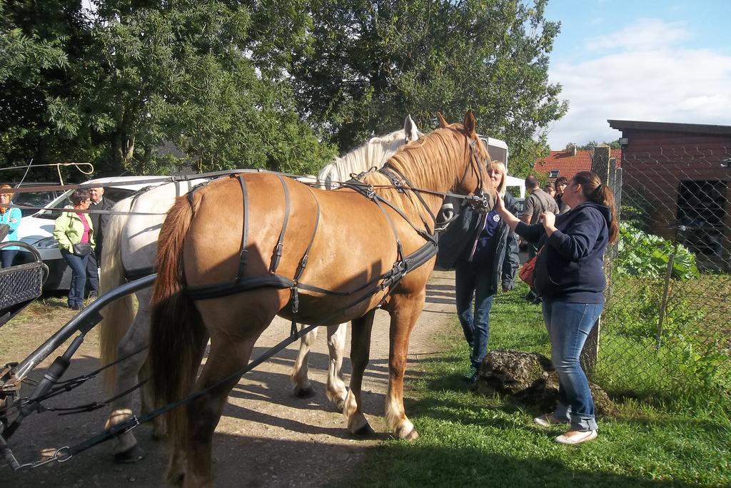 Gite Et Relais Equestre De Marie Tours-en-Vimeu الغرفة الصورة