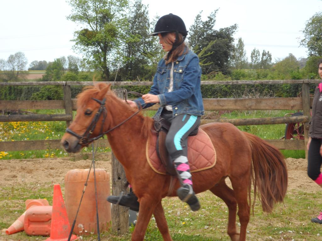 Gite Et Relais Equestre De Marie Tours-en-Vimeu الغرفة الصورة