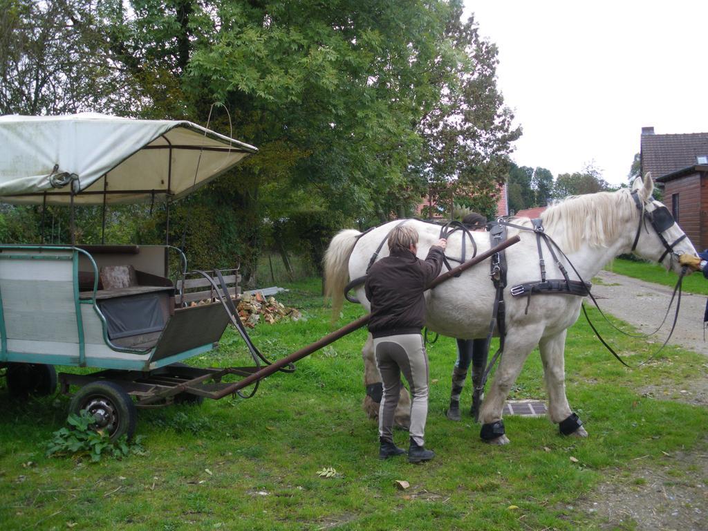 Gite Et Relais Equestre De Marie Tours-en-Vimeu الغرفة الصورة