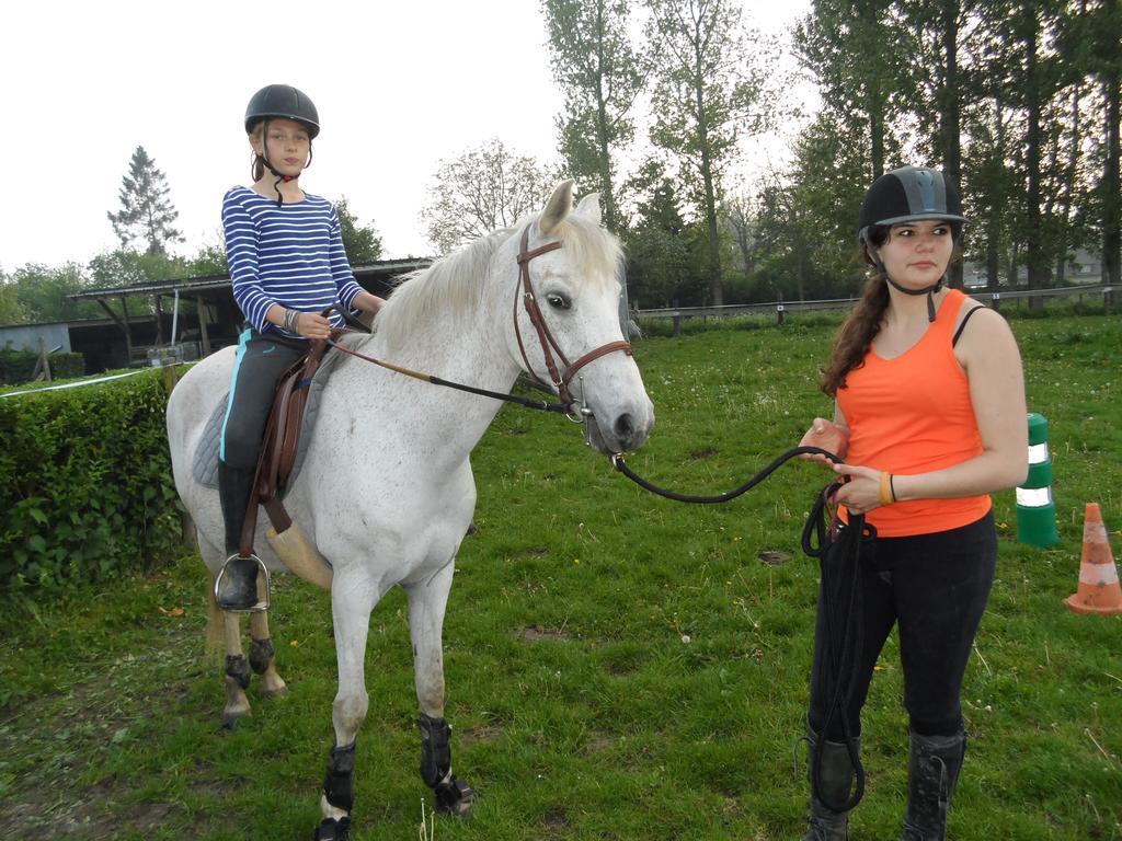 Gite Et Relais Equestre De Marie Tours-en-Vimeu الغرفة الصورة