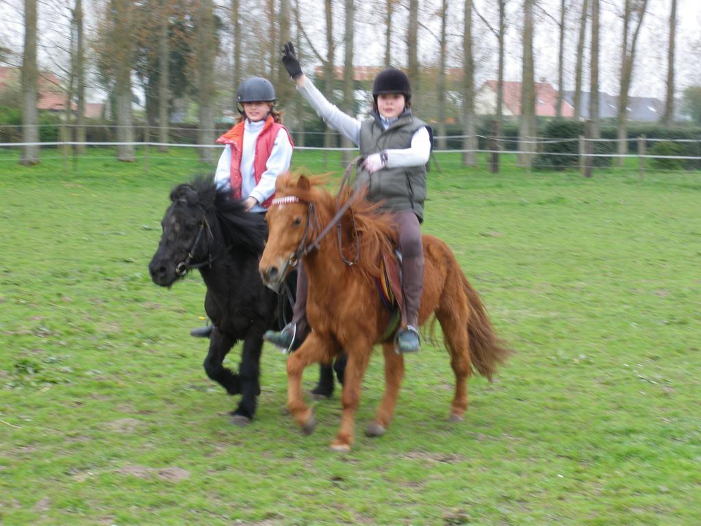 Gite Et Relais Equestre De Marie Tours-en-Vimeu الغرفة الصورة