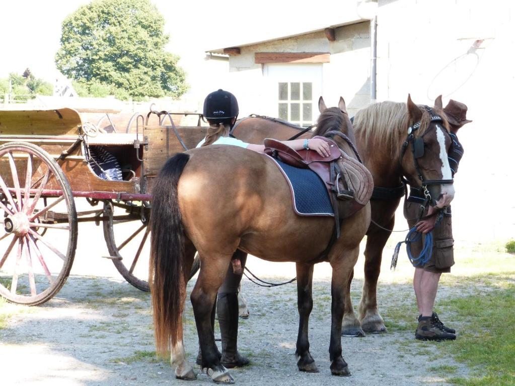 Gite Et Relais Equestre De Marie Tours-en-Vimeu الغرفة الصورة