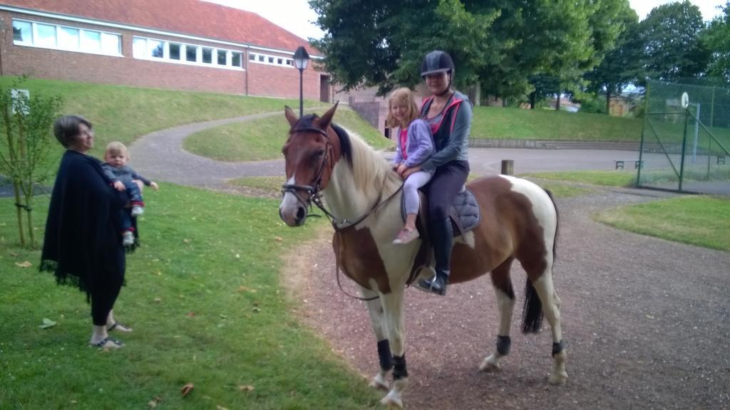 Gite Et Relais Equestre De Marie Tours-en-Vimeu المظهر الخارجي الصورة