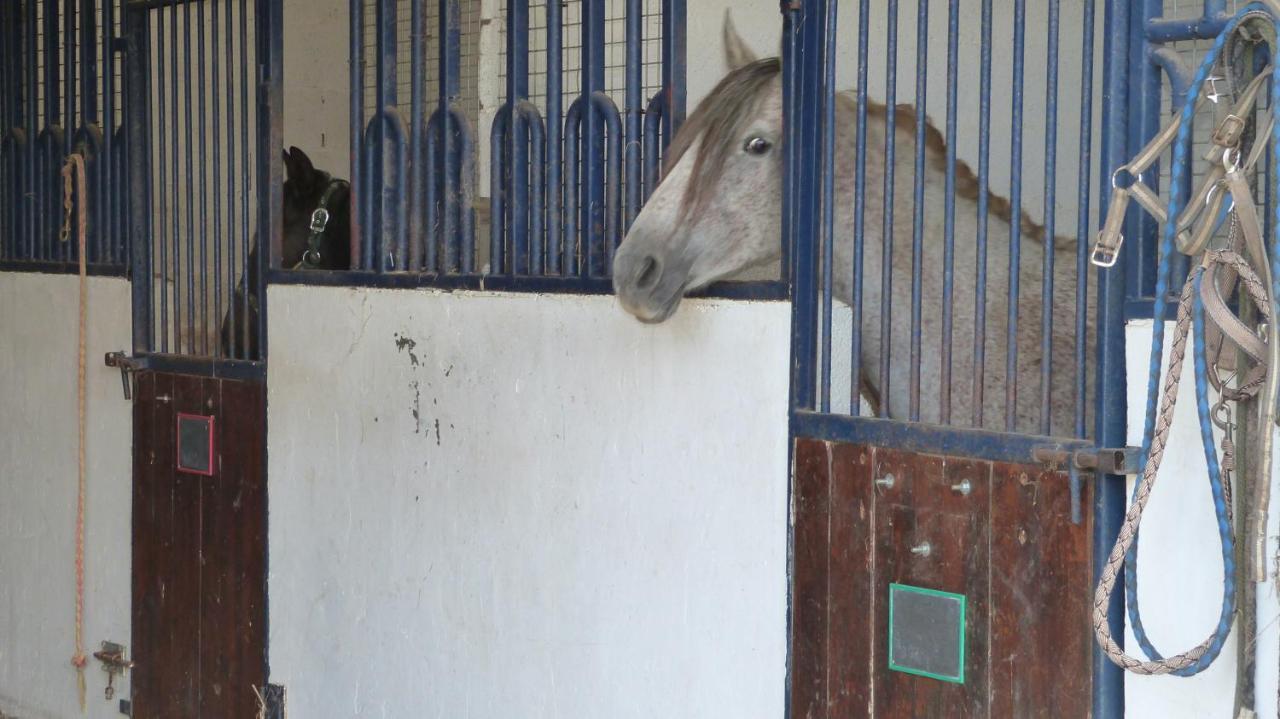 Gite Et Relais Equestre De Marie Tours-en-Vimeu المظهر الخارجي الصورة